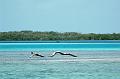 los roques 015